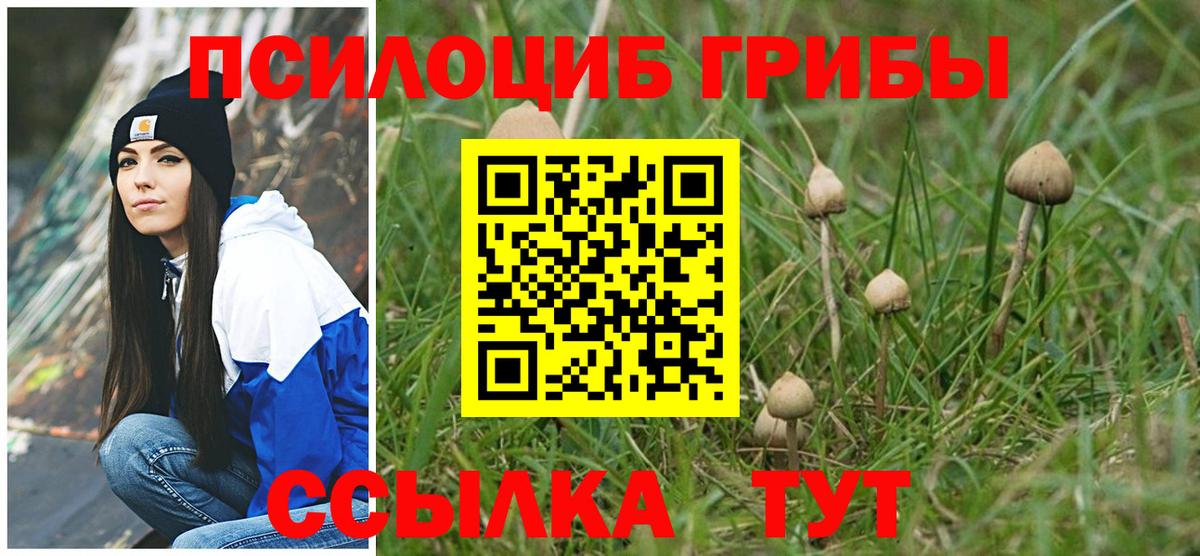 Галлюциногенные грибы ЛСД Клинцы